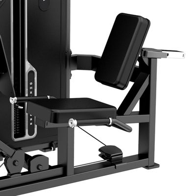 LEG PRESS HORIZONTAL SENTADO LE-07 - Assecon Solution Assessoria e  Consultoria em Gestão de Negócios