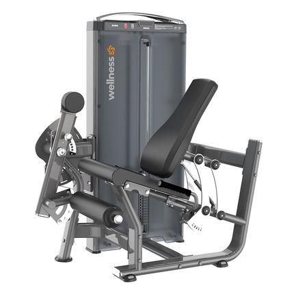 Cadeira Extensora Profissional Prestige Preto 120kg Wellness – EM419 EM419