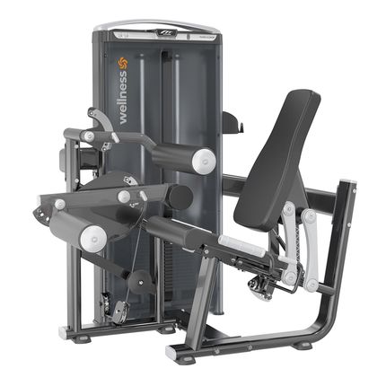 Cadeira Flexora Profissional Prestige Preto 90kg Wellness - EM417 EM417