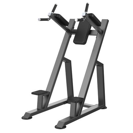 Vertical Knee Raise Profissional Classic Preto Wellness - EM219 EM219