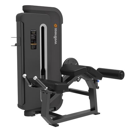 Prone Leg Curl (Mesa Flexora) Profissional New Classic Preto Wellness - EM336 EM336
