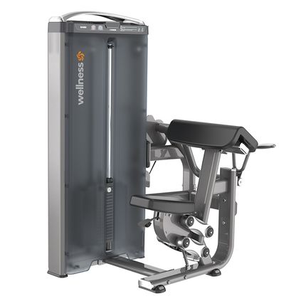 Rosca Direta Maquina Profissional Prestige Preto 70kg Wellness - EM410 EM410