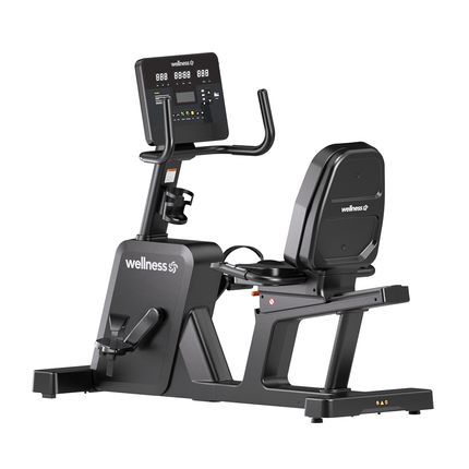 BIKE ERGOMETRICA HORIZONTAL RB9000 WELLNESS - GY116 GY116