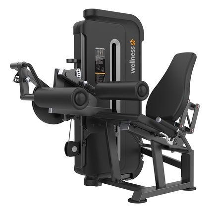 Cadeira Flexora Profissional New Classic Wellness - EM346 EM346