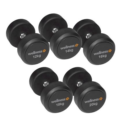 Kit 5 Pares Dumbbells (12Kg a 20Kg) Wellness - WK157I WK157I